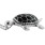 Turtles