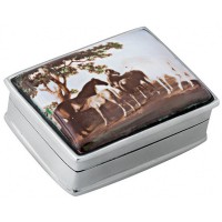 PB305   Ari D Norman Sterling Silver Horses Picture Pill Box